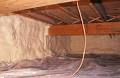 Foam Insulation